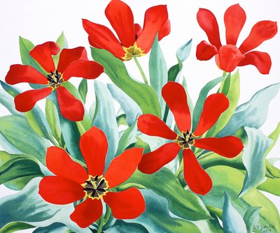 Madame Lefeber Tulips 2 (aguarela sobre papel) de Christopher Ryland