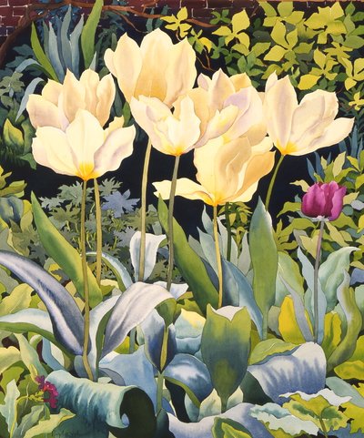 Tulipas Pálidas (aguarela sobre papel) de Christopher Ryland
