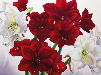 Amaryllis vermelho e branco, 2008 (wc no papel) de Christopher Ryland