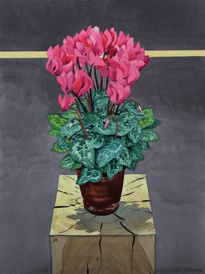 Ciclames de Natureza Morta (aguarela sobre papel) de Christopher Ryland