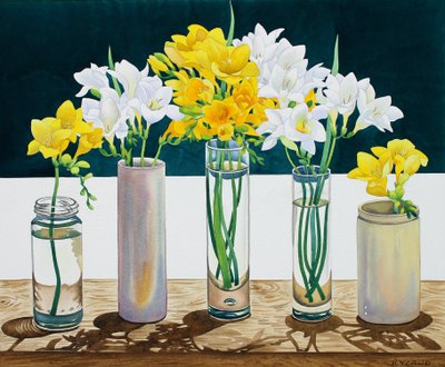 Ainda vida Freesias (aguarela no papel) de Christopher Ryland