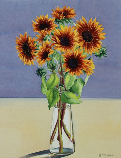 Girassóis (aguarela sobre papel) de Christopher Ryland