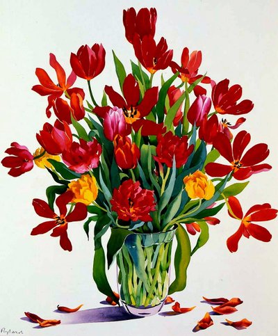 Tulipas (wc no papel) de Christopher Ryland