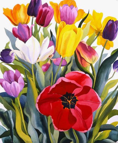 Tulipas, 2007 (aguarela sobre papel) de Christopher Ryland