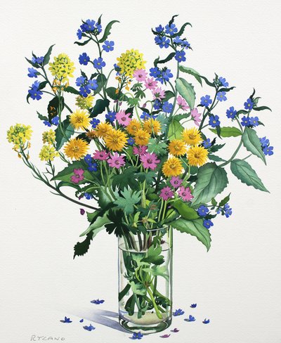 Flores Silvestres com Alkanet, 2021 (aquarela sobre papel) de Christopher Ryland