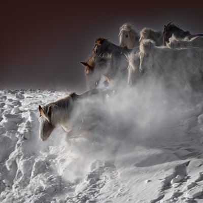 Cavalos da Neve a Galope de Chuanxu Ren