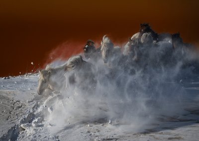 Tempestade de Cavalos Brancos de Chuanxu Ren