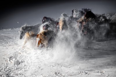 Corrida de Cavalos de Inverno de Chuanxu Ren