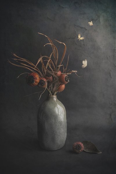  de Cicek Kiral