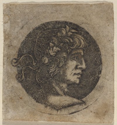 Cabeça de um imperador romano de Circle of Francesco Francia
