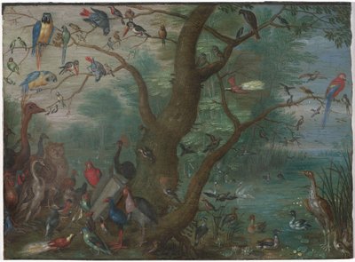Concerto de pássaros de Circle of Jan van Kessel the Elder