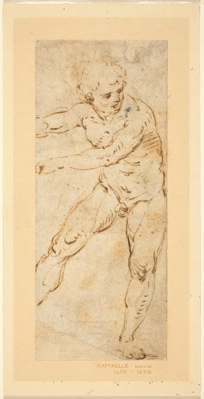 Um nu masculino em pé de Circle of Raphael