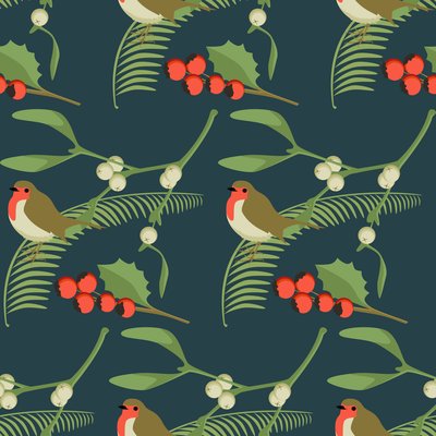 Robin de Natal de Claire Huntley