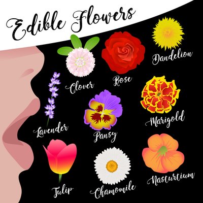 Flores comestíveis de Claire Huntley