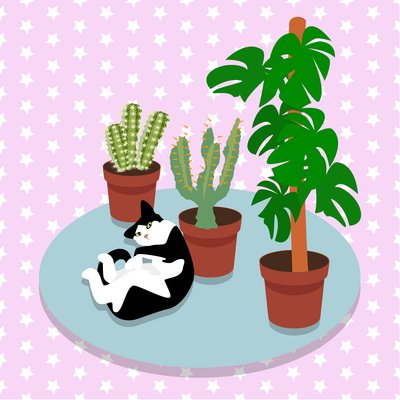 O gato e os cactos de Claire Huntley
