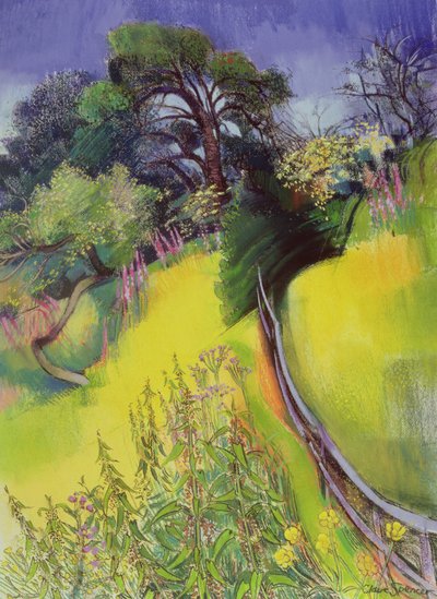 Verão de Claire Spencer