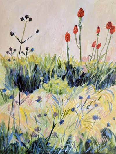 Flores silvestres coloridas de verão de Claire Whitehead