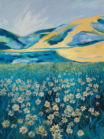 Campo de margaridas de Golden Hills de Claire Whitehead