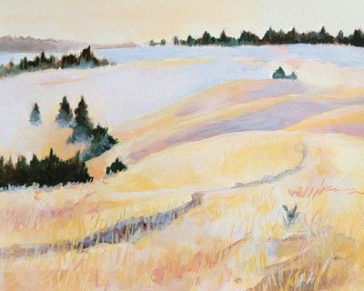 Campos Dourados e Tranquilos de Claire Whitehead