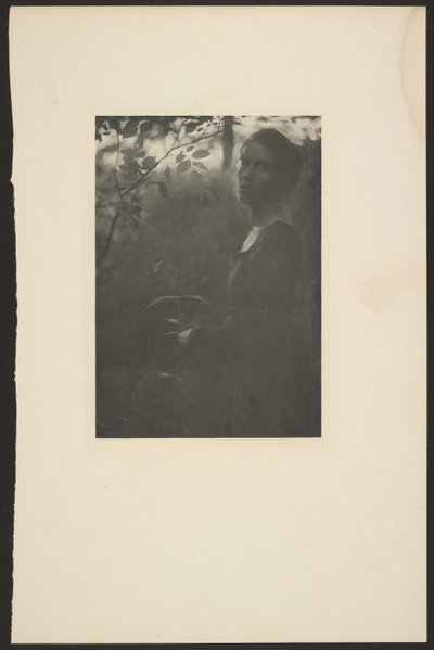 [Borda do Bosque -- Noite] de Clarence H. White