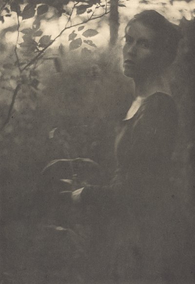 Floresta. de Clarence H White