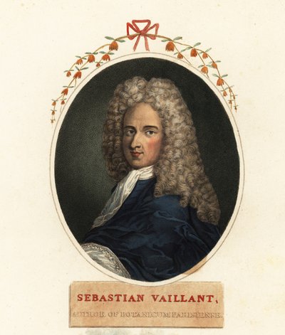 Retrato de Sebastian Vaillant, botânico francês de Claude Aubriet