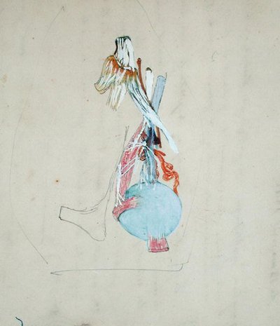 Sistema nervoso na cabeça de um gato, 25 de Maio de 1842 (lápis e aguarela sobre papel) de Claude Bernard