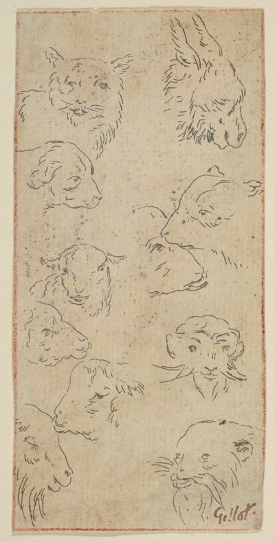 Estudo de cabeças de animais.n.d. de Claude Gillot