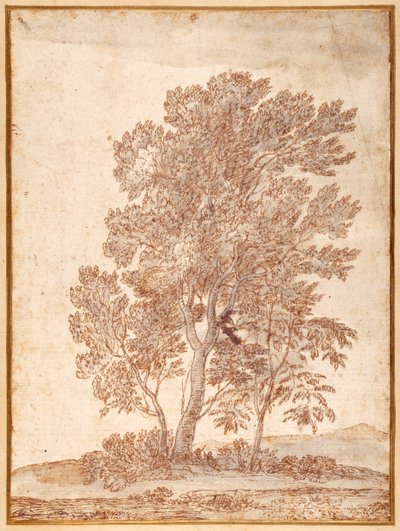 Três Árvores (caneta e tinta marrom com lavagem cinza sobre papel) de Claude Lorrain