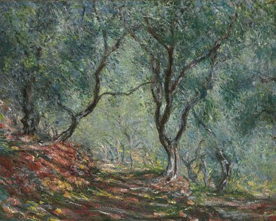 Oliveiras no jardim Moreno, 1884 de Claude Monet