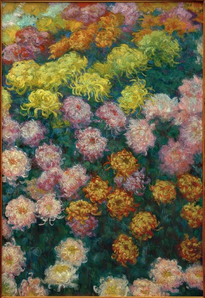 Chrysanthemenbeet, 1897 de Claude Monet