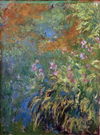 Íris de Claude Monet