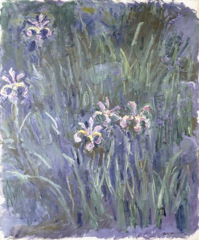 Íris, c.1914-1917 de Claude Monet