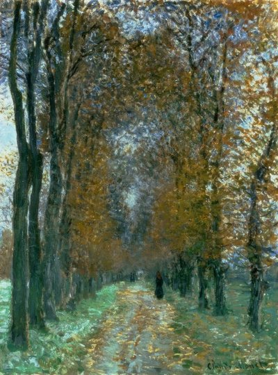 o Driveway de Claude Monet