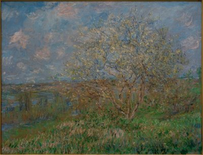 Primavera de Claude Monet
