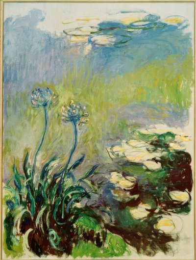 Os Agapanthes de Claude Monet