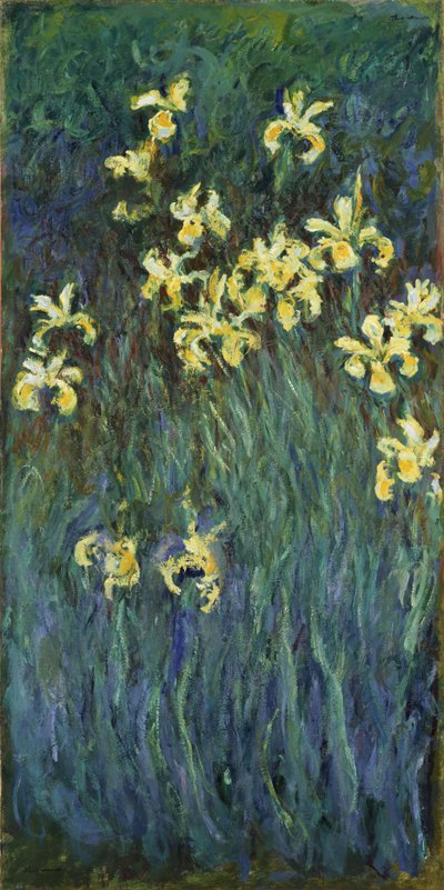 Íris Amarelas - Pintura de Claude Monet (1840-1926), óleo sobre tela de Claude Monet