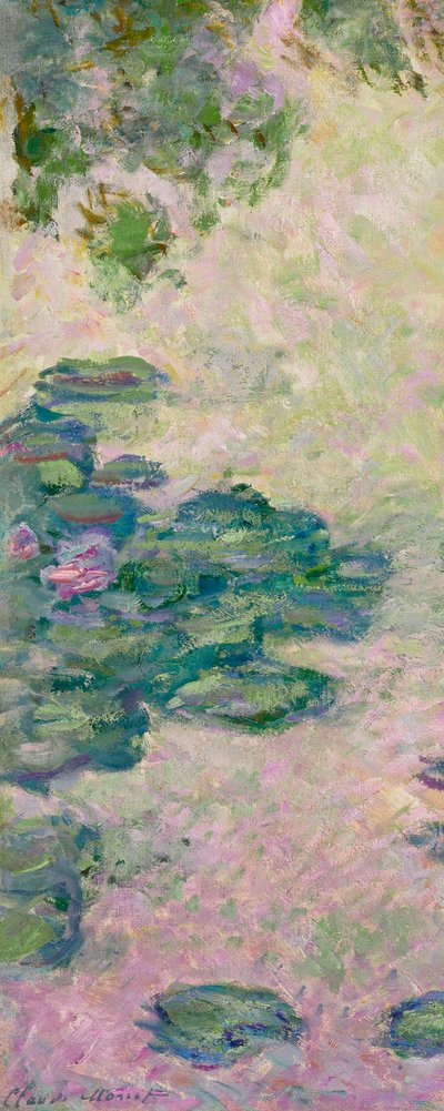 Nenúfares (fragmento), c.1912 (óleo sobre tela) de Claude Monet