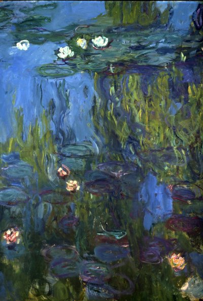 Nympheas, 1914-17 de Claude Monet
