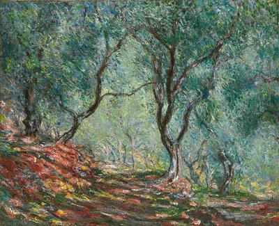 Oliveiras no Jardim Moreno; Madeira de oliveira no jardim Moreno, 1884 de Claude Monet