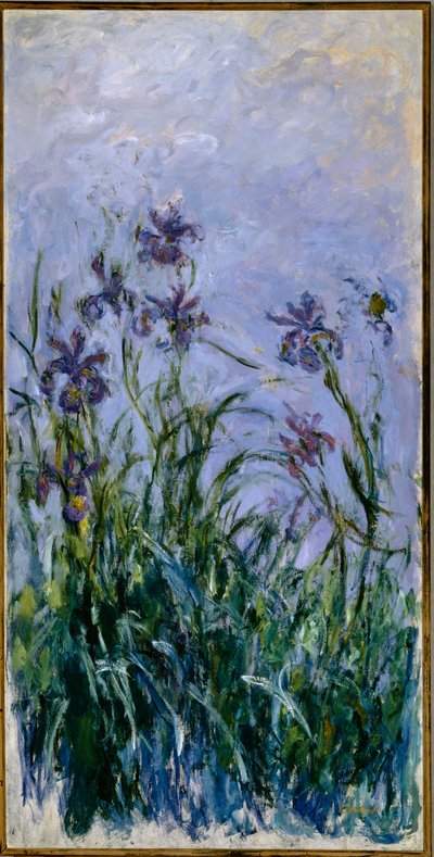 Íris roxas, 1914-17 de Claude Monet