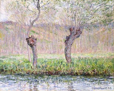 Primavera, salgueiros, 1885 de Claude Monet