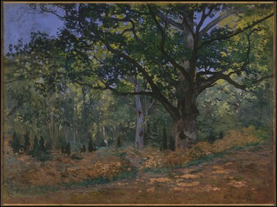 O carvalho de Bodmer, floresta de Fontainebleau, 1865 de Claude Monet