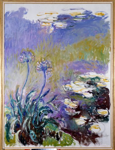 O agapanto de Claude Monet