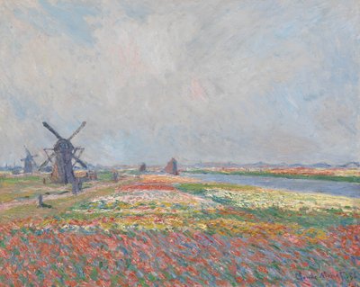 Campos de tulipas perto de Haia. de Claude Monet