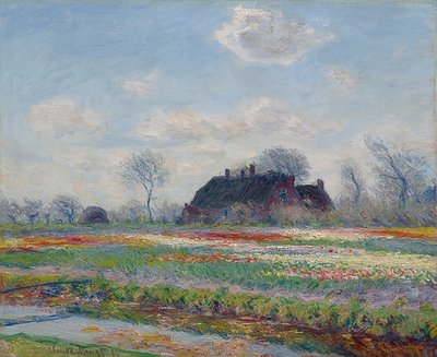 Tulipfelder em Sassenheim. 1886 de Claude Monet