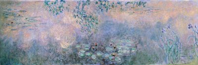 Nenúfares (O tanque de nimphea com íris) de Claude Monet