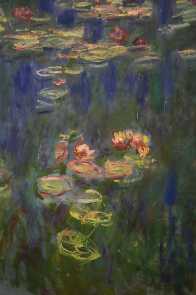 Lírios de água (óleo sobre tela) de Claude Monet