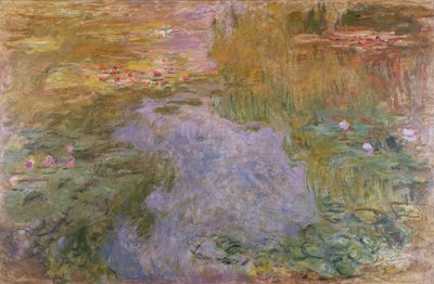 Lírios de Água, 1919 de Claude Monet