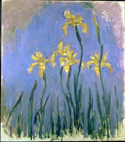 Íris amarelas; Les Iris Jaunes, c.1918-1925 (óleo sobre tela) de Claude Monet